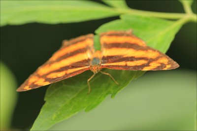 ShuiHau044.jpg