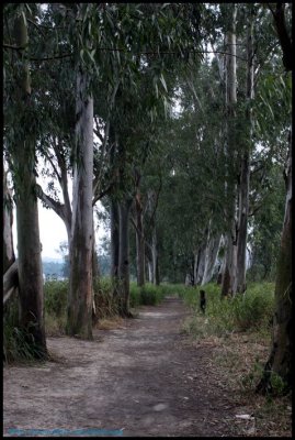 NSW0010.jpg