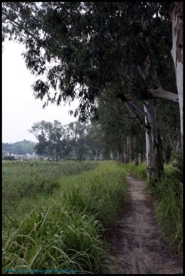 NSW0020.jpg