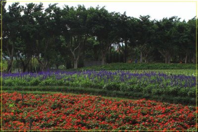 Tai Po Waterfront Park