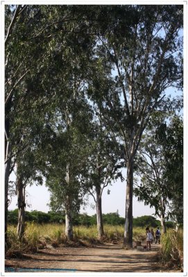 NSWPt20450.jpg