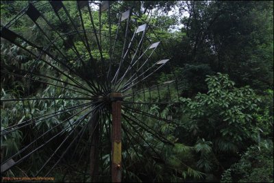 PLH0210.jpg