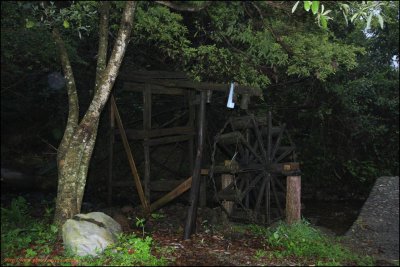 PLH0220.jpg
