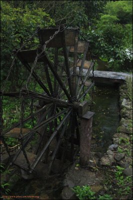 PLH0230.jpg