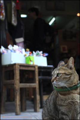 Tai_O015.jpg