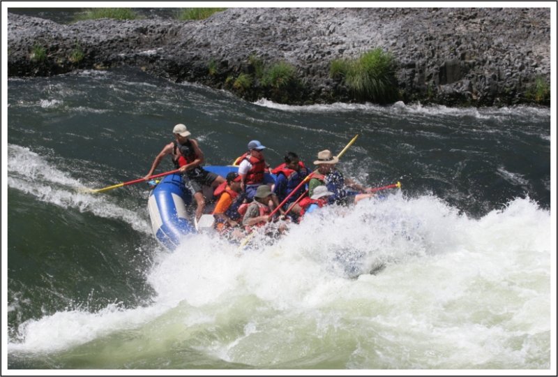 Oak Springs - Group 1
