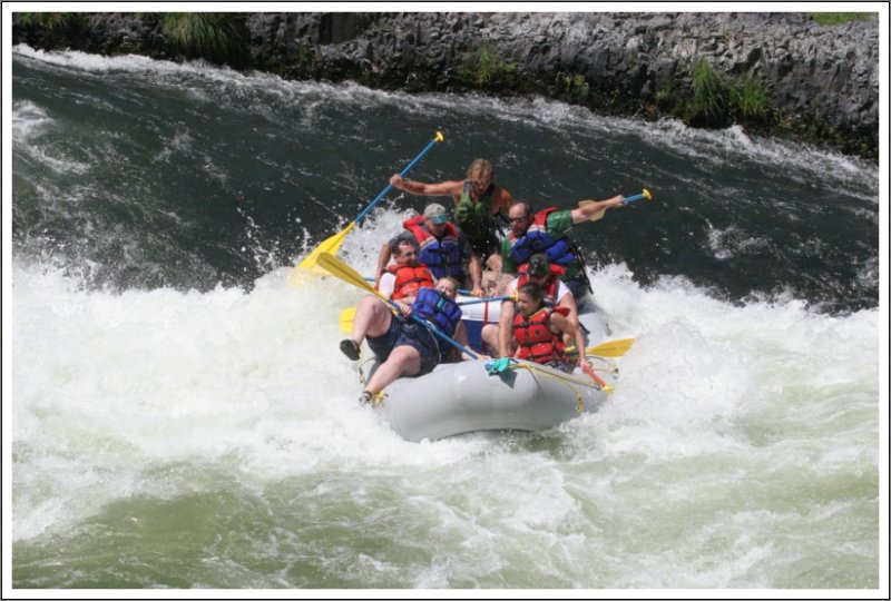Oak Springs - Group 2
