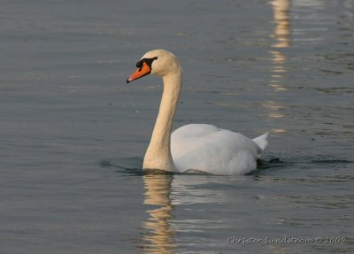 g3/88/803888/3/120115323.6nWqJtDI.jpg