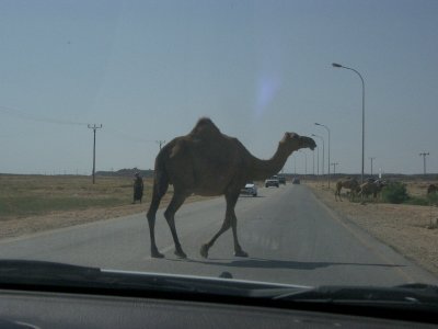 Oman 2007 november