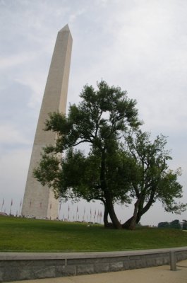 Washington DC 08 006.jpg