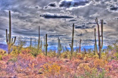 IMGP0335_6_7_tonemapped grunge jpg in.jpg