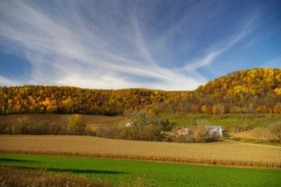 Wisconsin Autumn.JPG