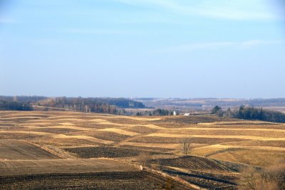 Farm Patterns corrected