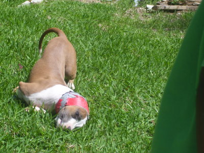 100_1025.JPG