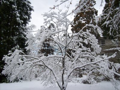 100_0500.JPG