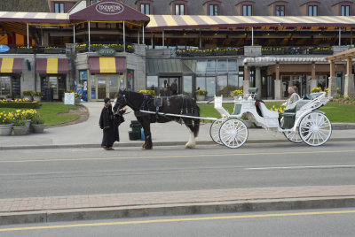 Niagara taxi.jpg