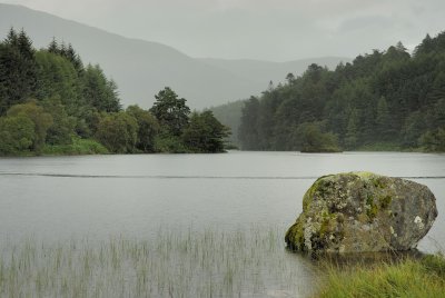 Rain on the Loch.jpg