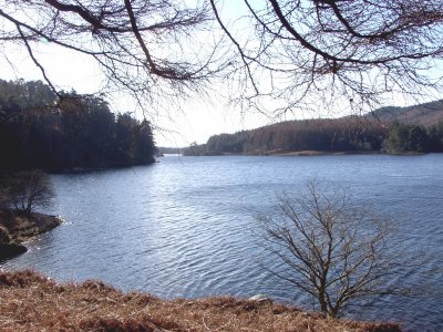 Glentrool Loch.jpg
