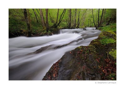 Au fil de l'eau