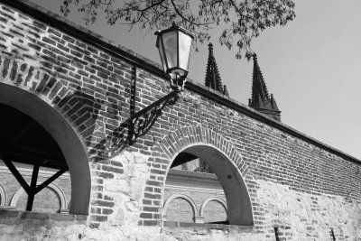 SDIM0679bw.jpg