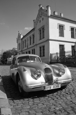 SDIM0896bw.jpg