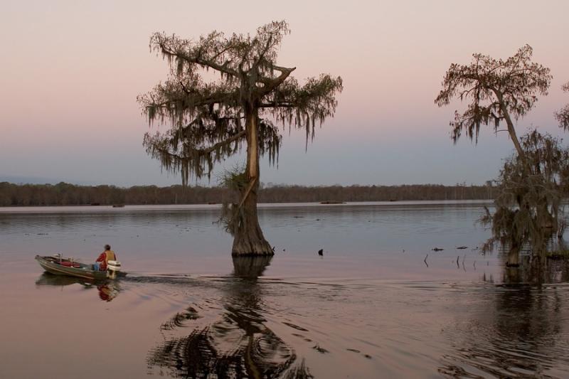 Sunrise Fishing