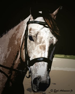 Mr. Ed