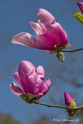 g3/88/8888/3/122697337.GPKhgY3F.jpg