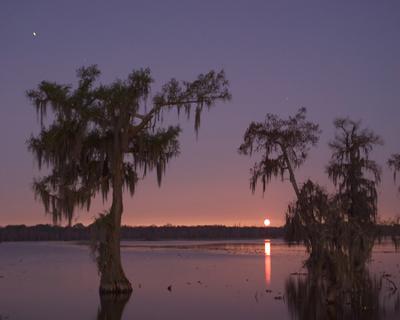g3/88/8888/3/55895167.CRW_4498_2_photocrit.jpg