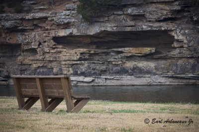 The Bench