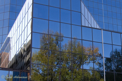 Glass Reflection's