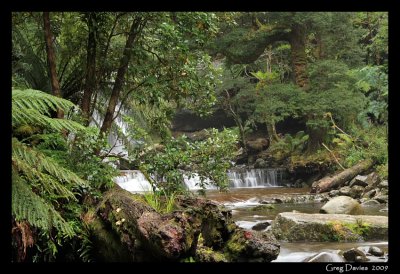 Falls and Foliage