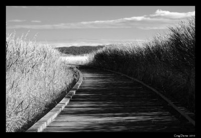 Boardwalk #4