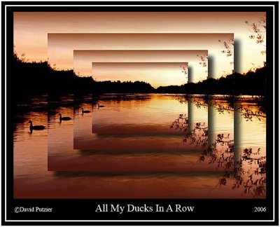 AllMyDucksUL.jpg