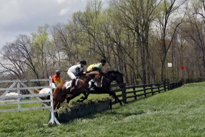 Plumstead 2008 Steeplechase