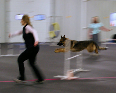 Agility Trials