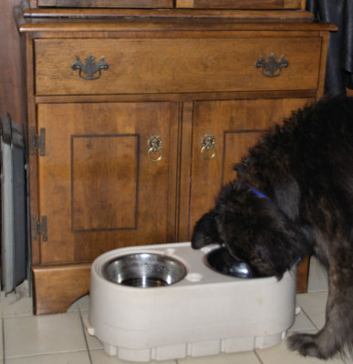 Water and Food Bowls.