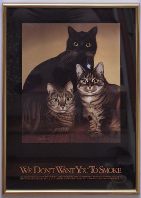 Kitty Poster