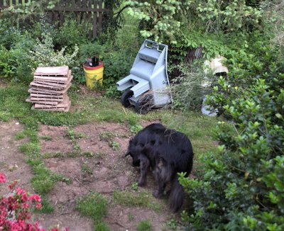 Ashley Inspects the Former Telescope Pad