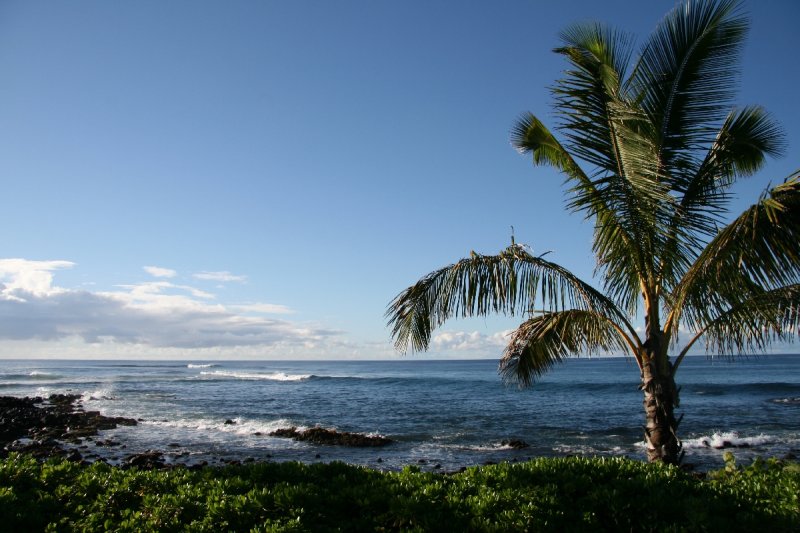 Hawai'i 2009