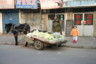 IMG_1851.JPG
