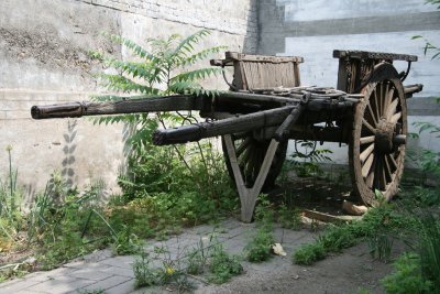IMG_7940.JPG