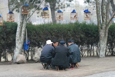 IMG_2288.JPG