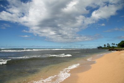 IMG_3019x.jpg