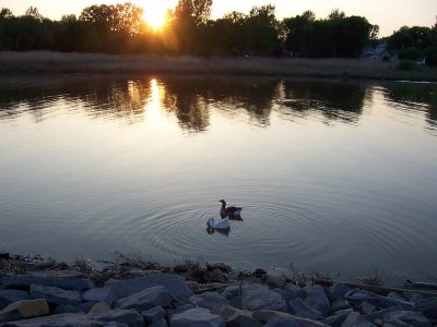 g3/88/951488/3/123642326.Ro4qXm6f.jpg