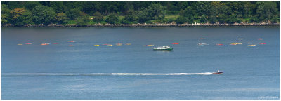 Kayaks  On The Hudson