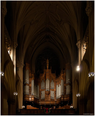 Saint Patricks Cathedral Organ Case