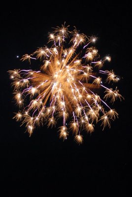 DSC_4024 Gold Starburst.JPG