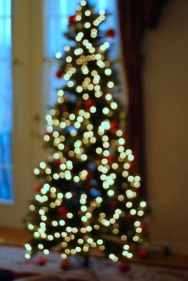 DSC_3317 Christmas Tree Lights.JPG