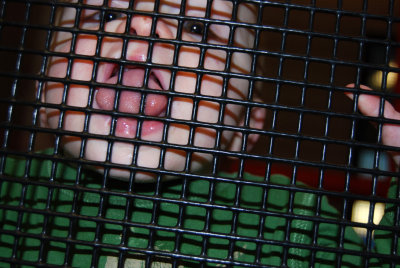 DSC_3577 Julian.JPG